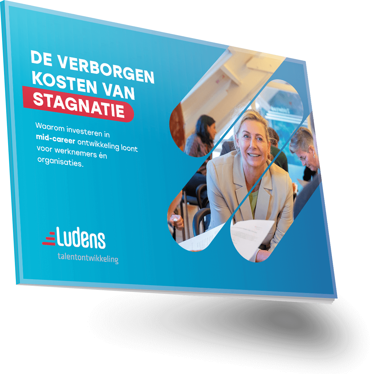 Download de whitepaper over de verborgen kosten van stagnatie
